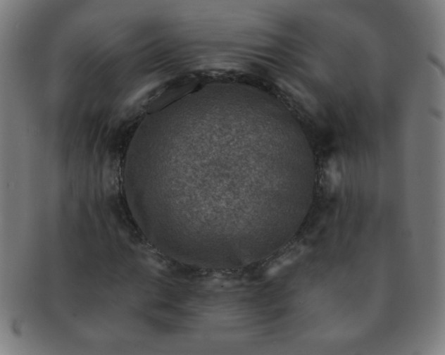 X0000091341014200708241218