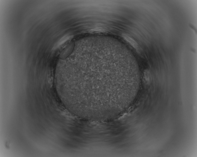 X0000091341015200708241218