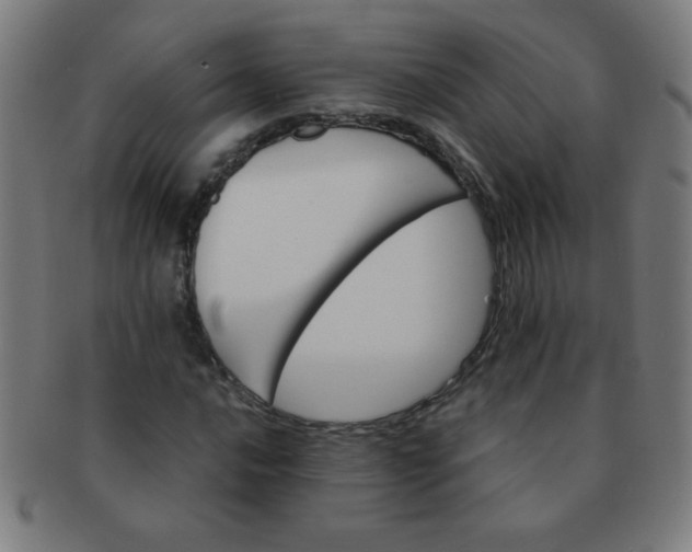 X0000091341016200708241218