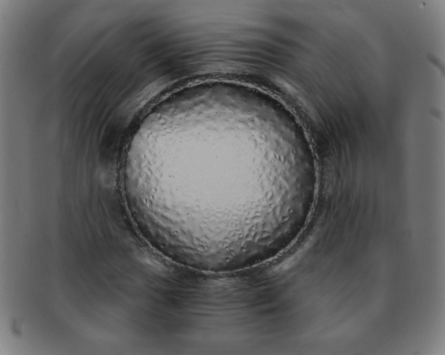 X0000091341017200708241218