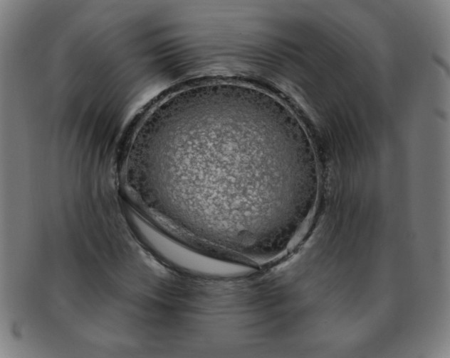 X0000091341018200708241218