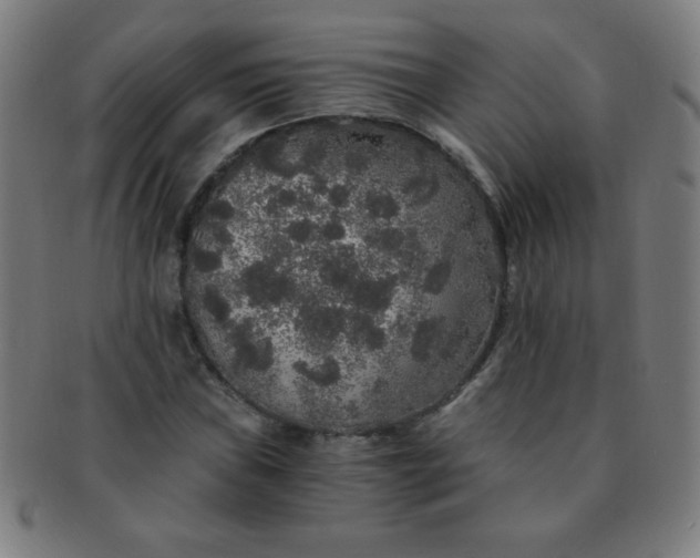 X0000091341019200708241218