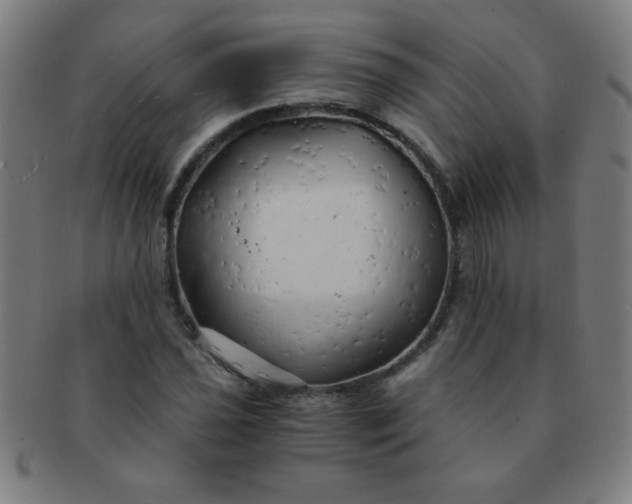 X0000091341021200708241218