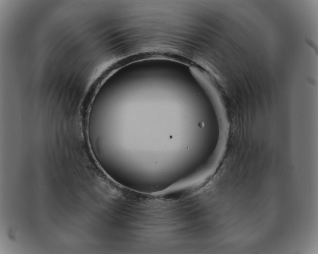 X0000091341022200708241218