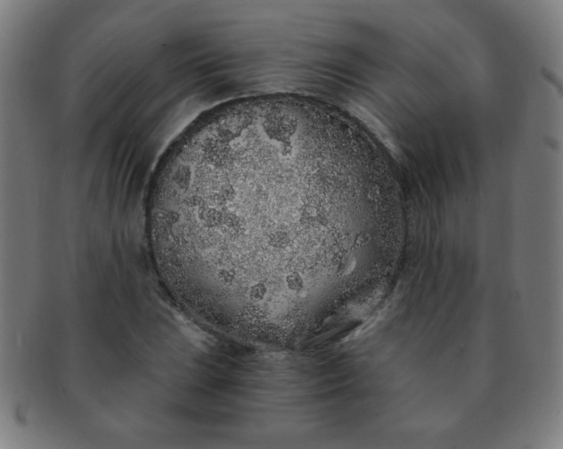 X0000091341023200708241218