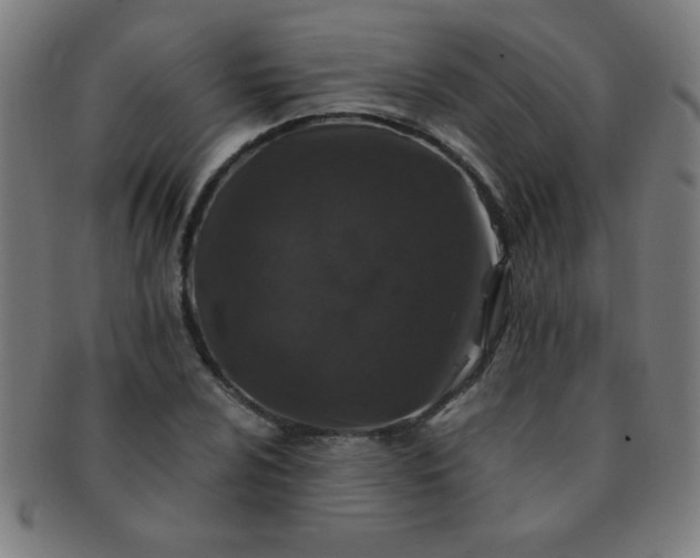 X0000091341024200708241218