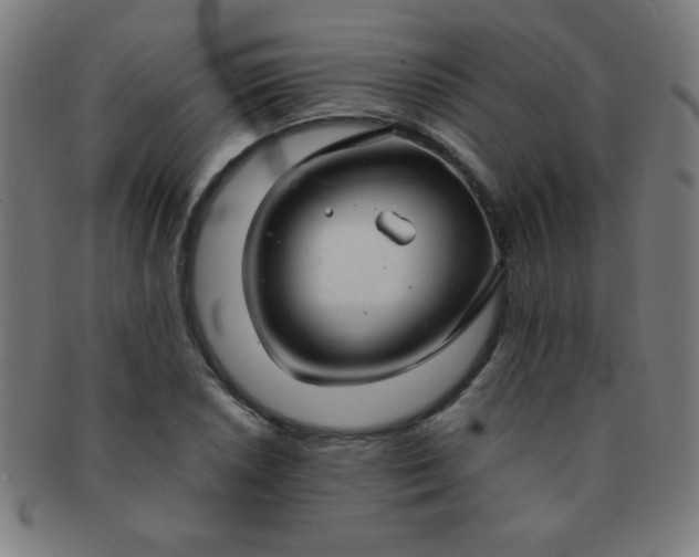 X0000091341026200708241218