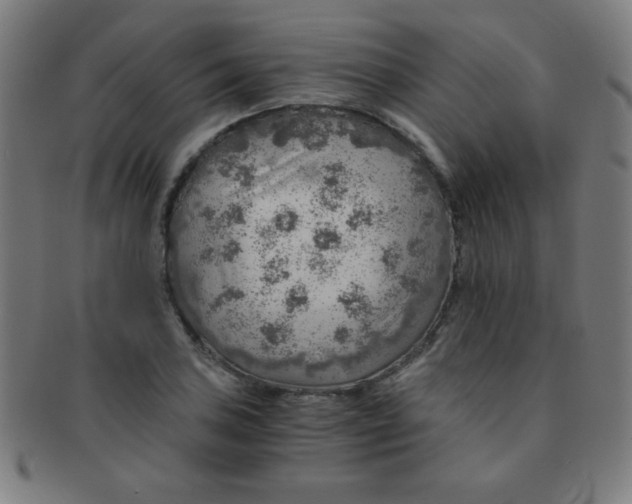 X0000091341027200708241218