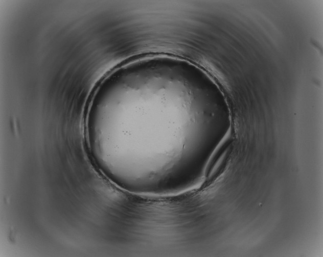 X0000091341028200708241218