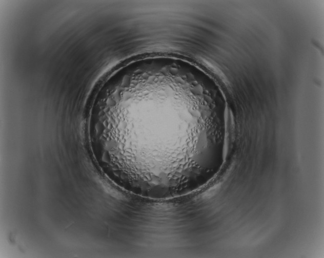 X0000091341029200708241218