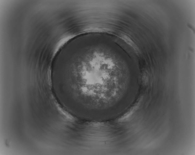 X0000091341030200708241218