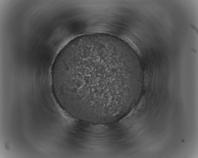 X0000091341031200708241218