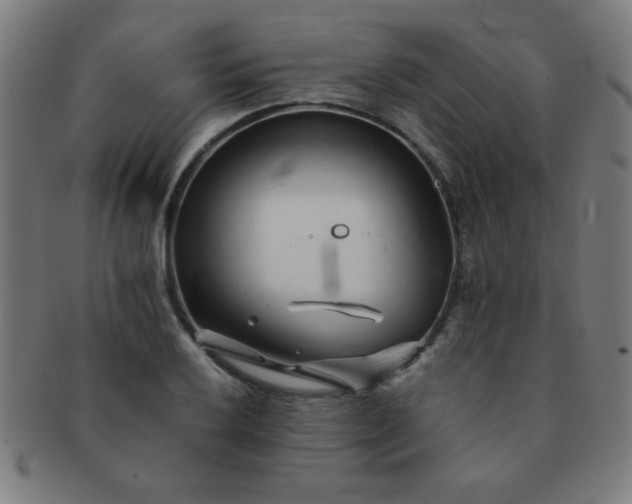 X0000091341032200708241218