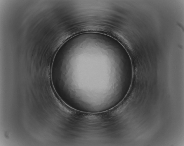 X0000091341033200708241218