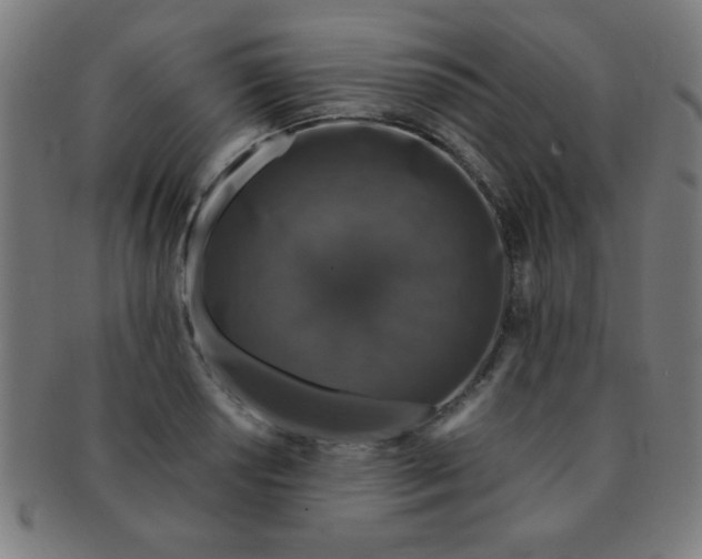 X0000091341034200708241218