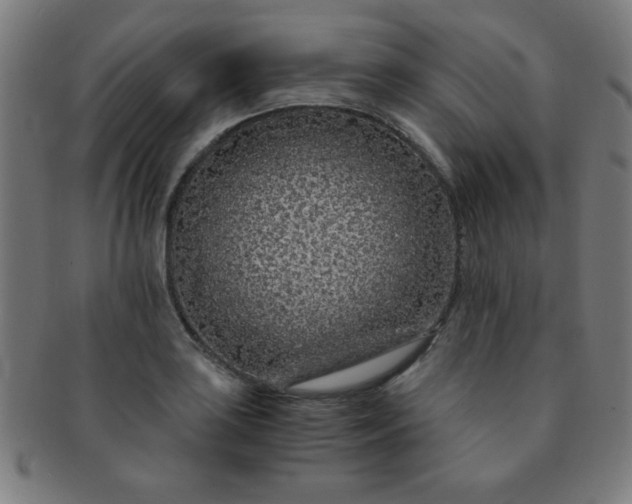 X0000091341035200708241218