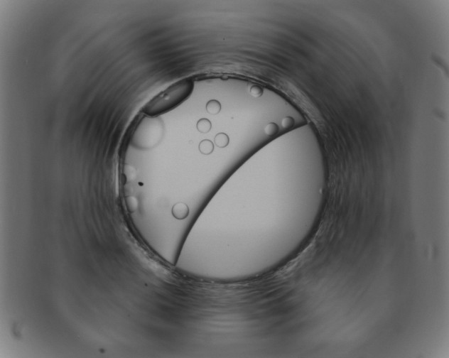 X0000091341036200708241218