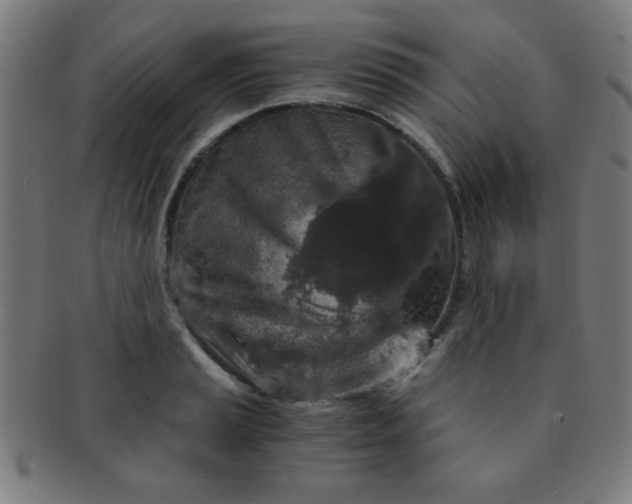 X0000091341037200708241218