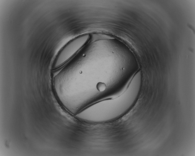 X0000091341038200708241218