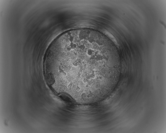 X0000091341039200708241218