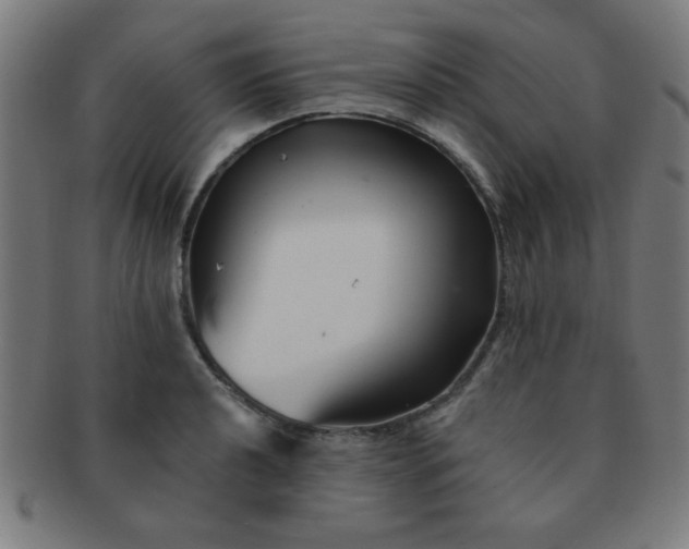 X0000091341040200708241218