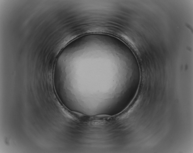 X0000091341041200708241218