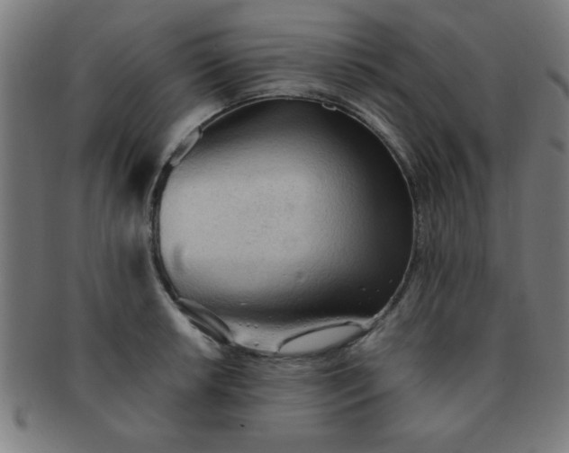 X0000091341042200708241218