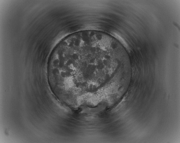 X0000091341043200708241218