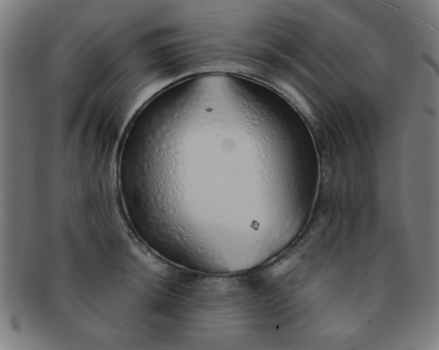 X0000091341044200708241218