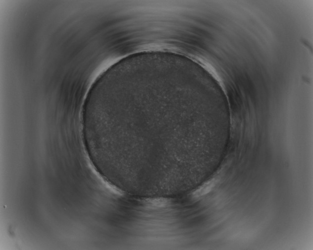 X0000091341045200708241218