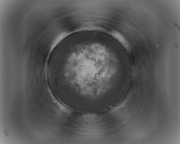 X0000091341046200708241218