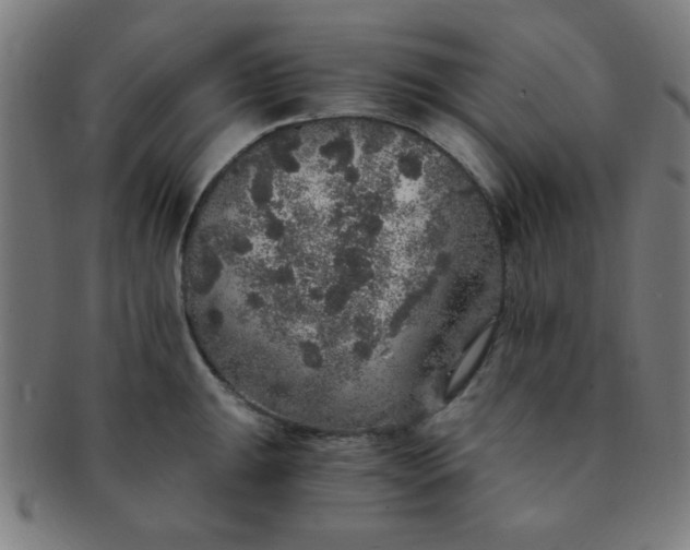 X0000091341047200708241218