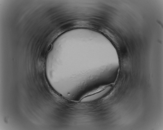 X0000091341049200708241219