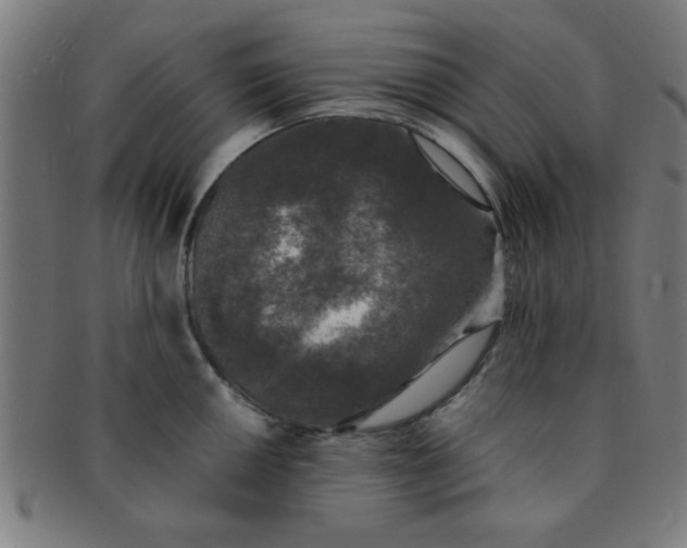 X0000091341050200708241219