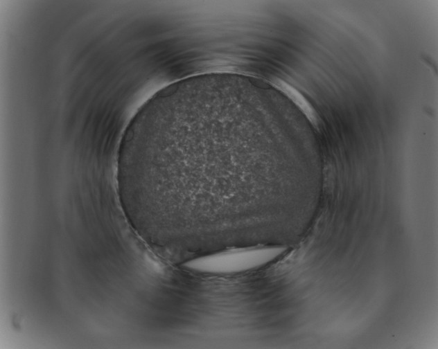 X0000091341051200708241219