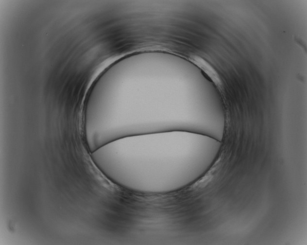 X0000091341052200708241219