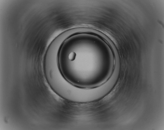 X0000091341054200708241219