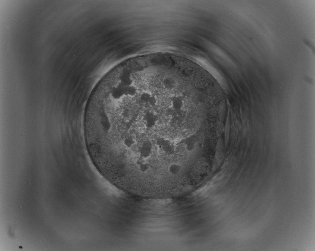 X0000091341055200708241219