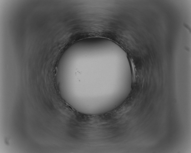 X0000091341057200708241218