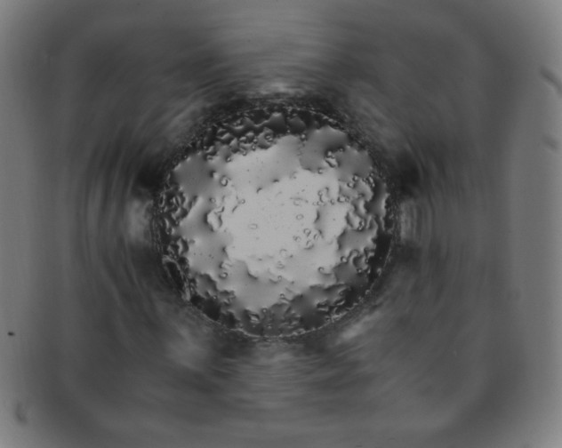 X0000091341059200708241218