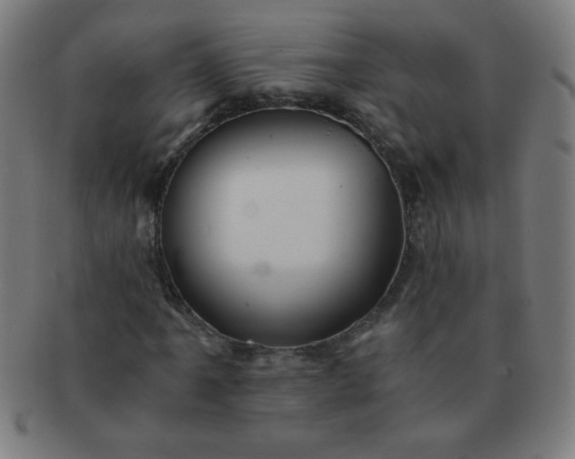 X0000091341061200708241218