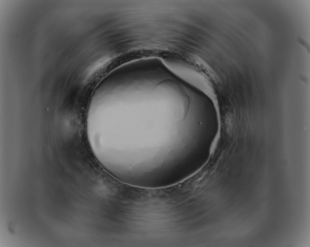 X0000091341064200708241218