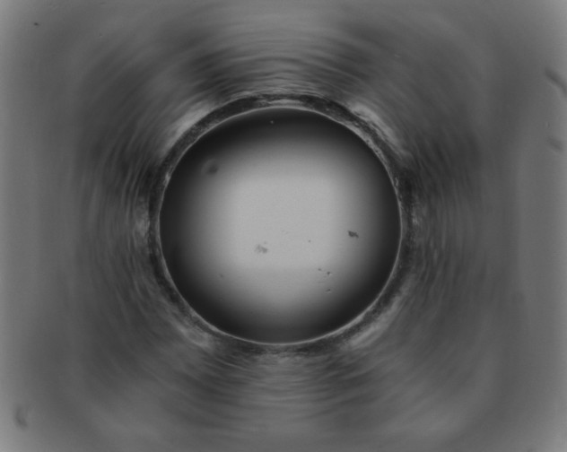 X0000091341065200708241218