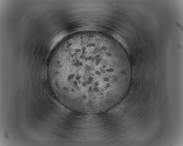 X0000091341067200708241218