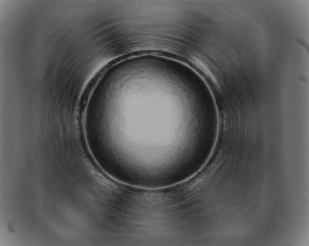 X0000091341068200708241218