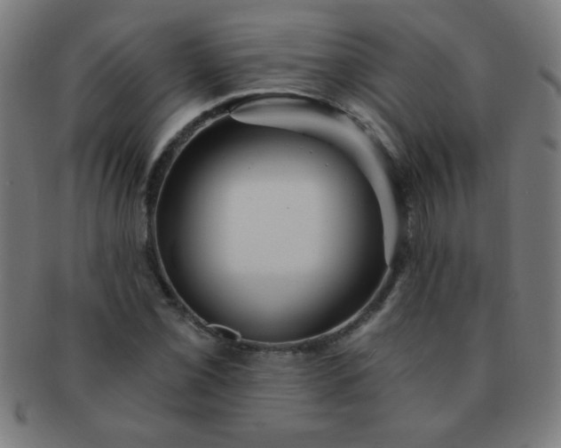 X0000091341069200708241218