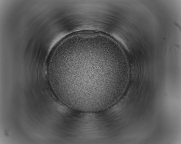 X0000091341070200708241218