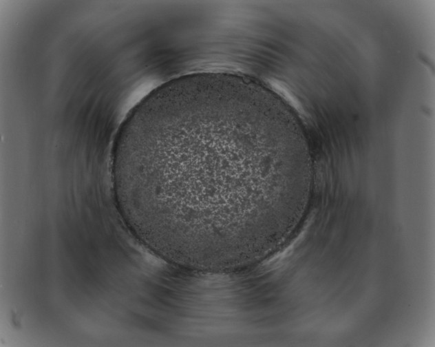 X0000091341071200708241218