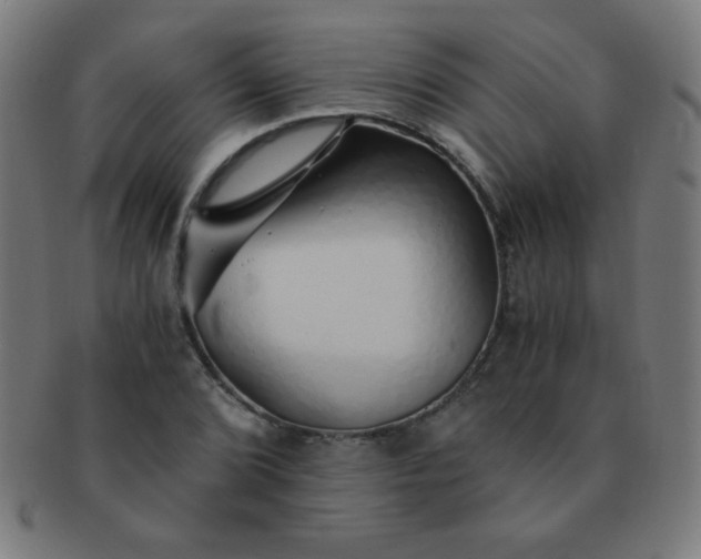 X0000091341072200708241218