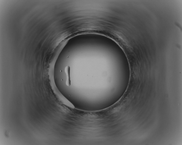 X0000091341073200708241218